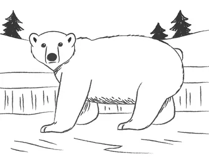 completed polar bear drawing