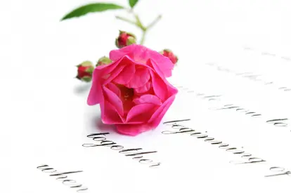 Rose laying on a romantic proposal poem