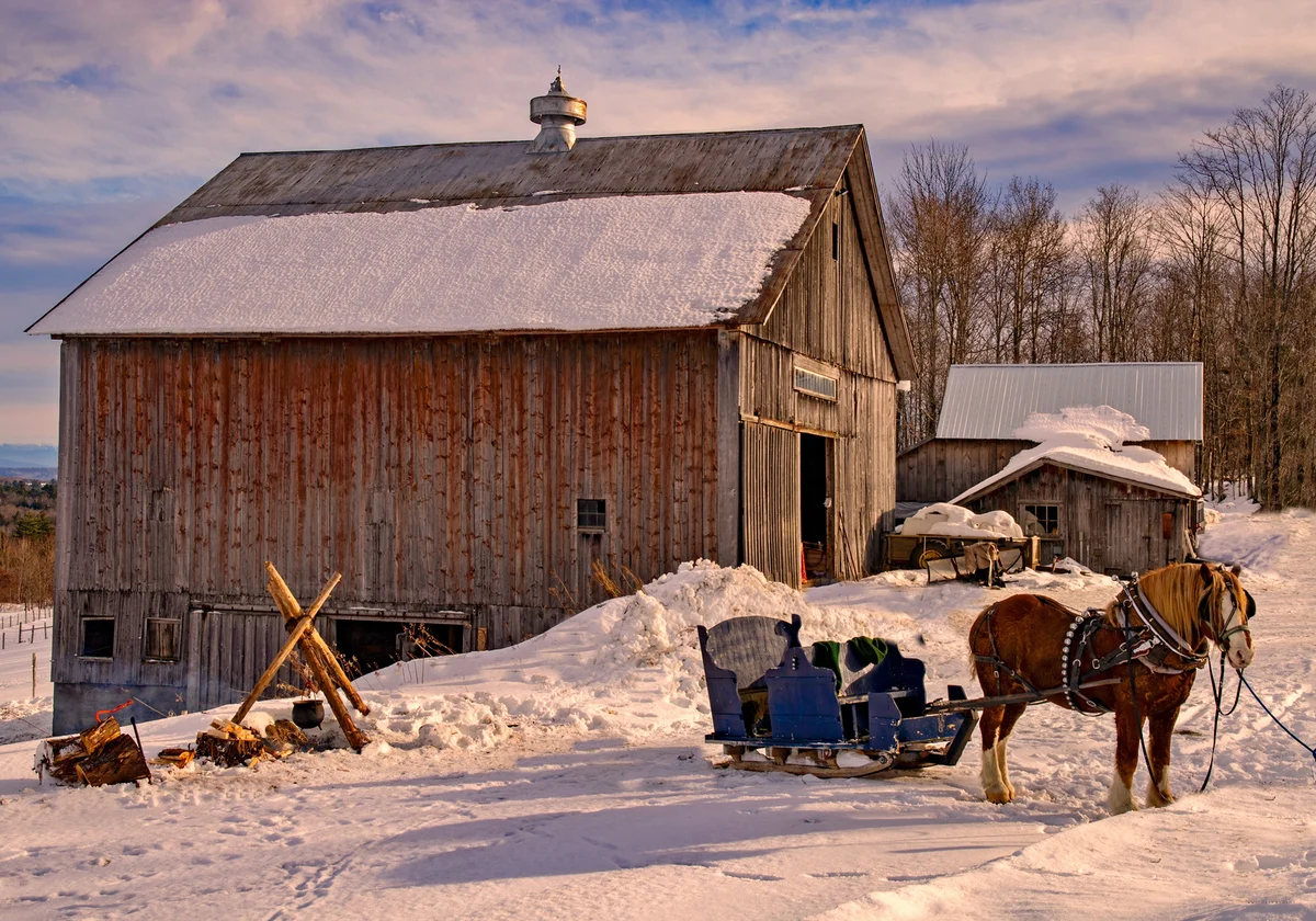 Old fashioned Christmas sleigh ride in the country