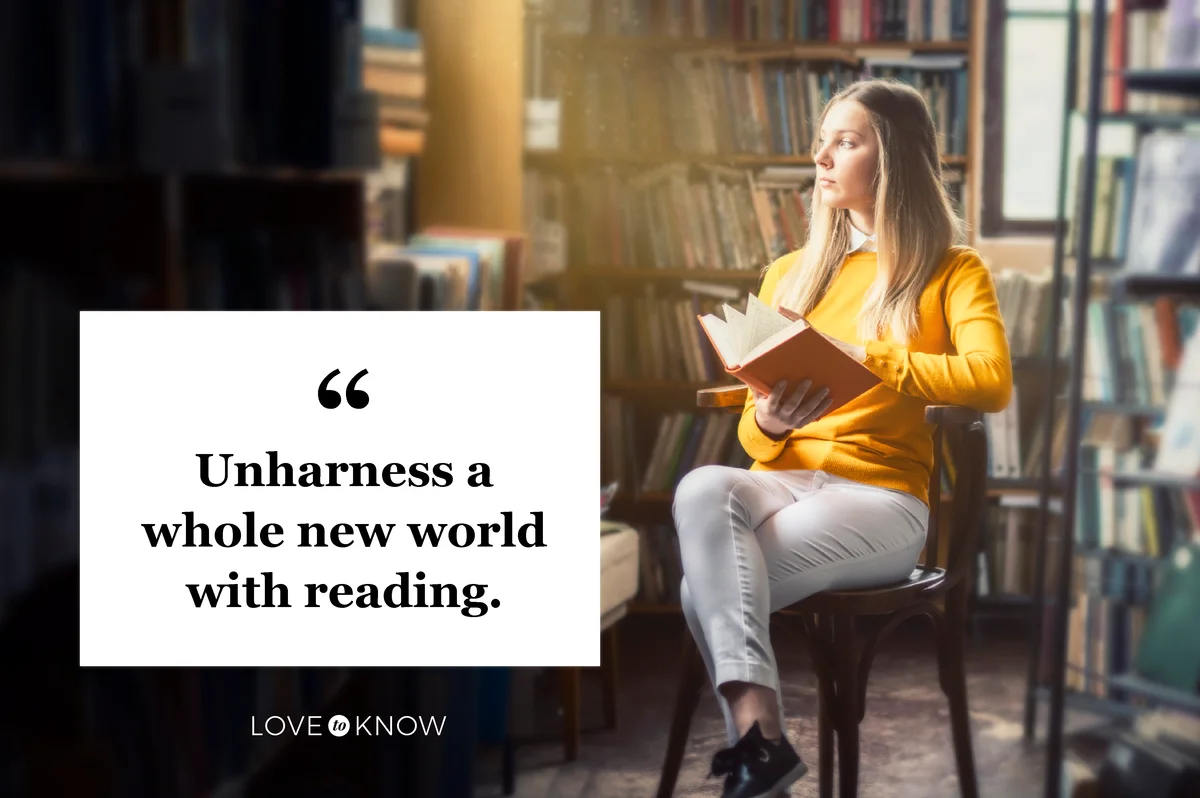 Young woman reading in the library with beautiful light from a window