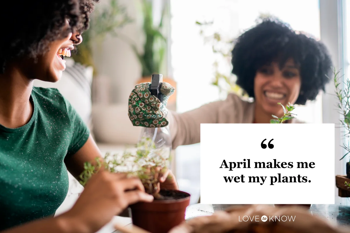 friends watering potted plants