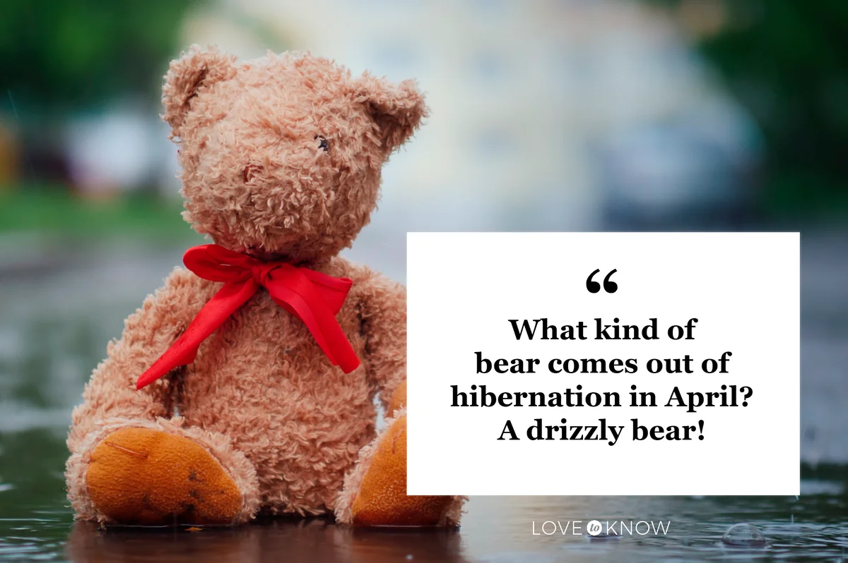 stuffed animal bear sitting in rain puddle outside