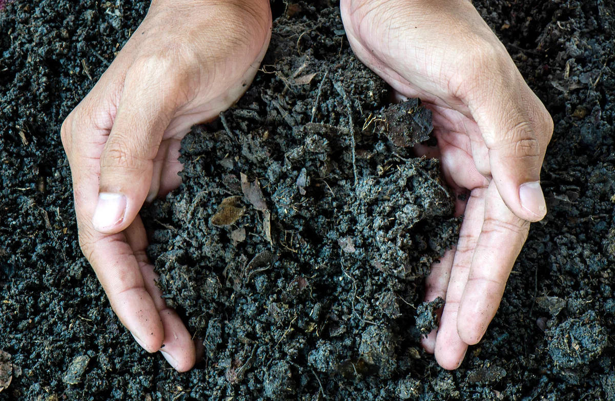 hands holding soil