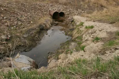 possible agriculture run off in ditch