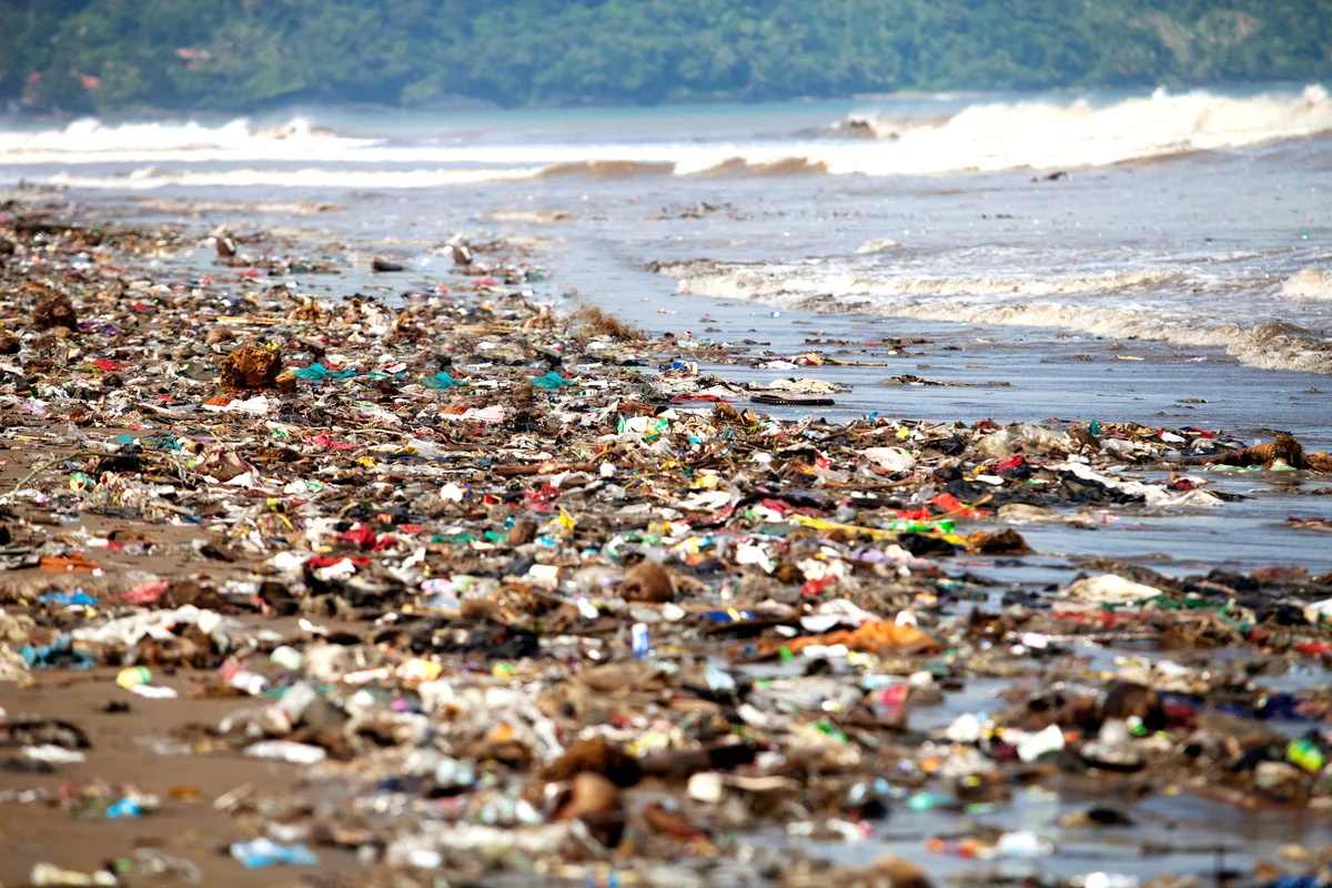 Polluted Shore Covered By Washed Up Garbage