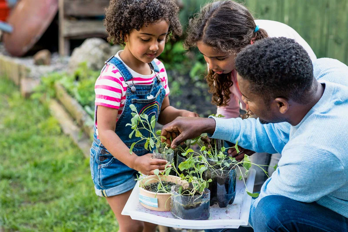 father teaching daughters about gardening