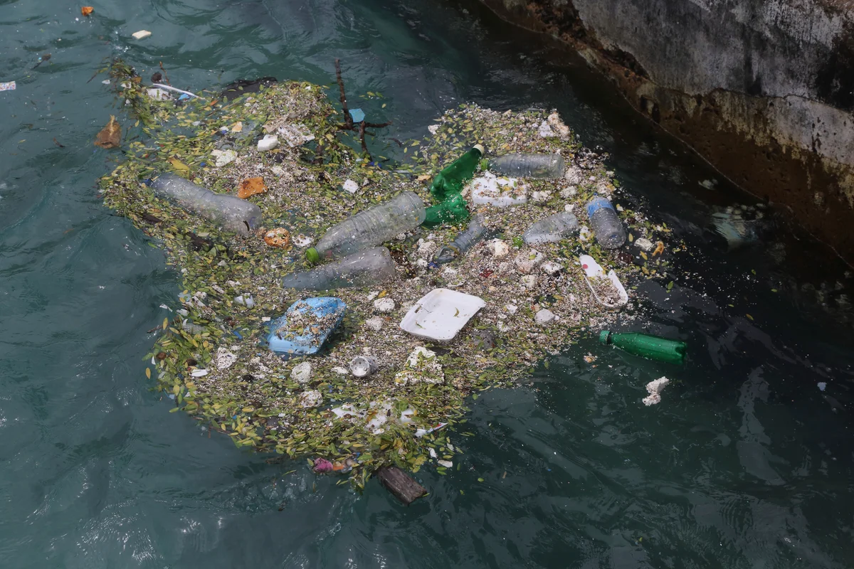 Waste in the ocean
