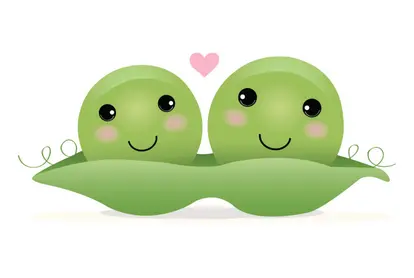 Two peas in a pod