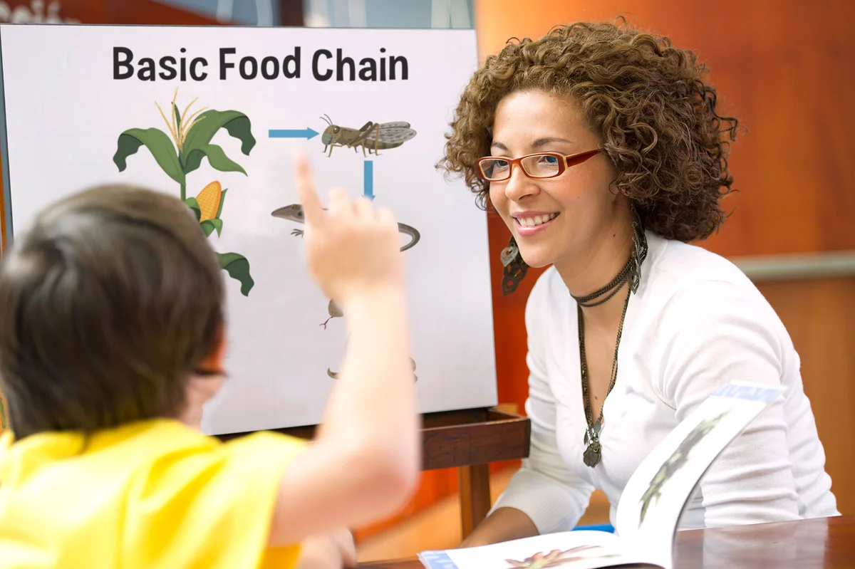 teaching basic food chain
