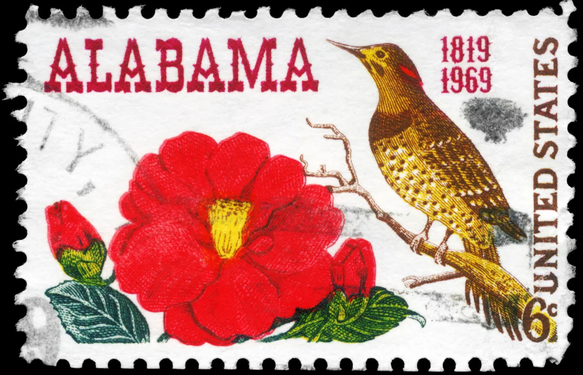 A Stamp printed in USA shows the Camellia & Yellow-shafted Flicker