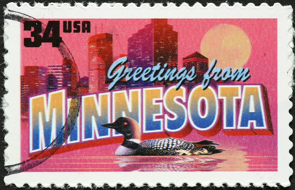 Minnesota cityscape and loon