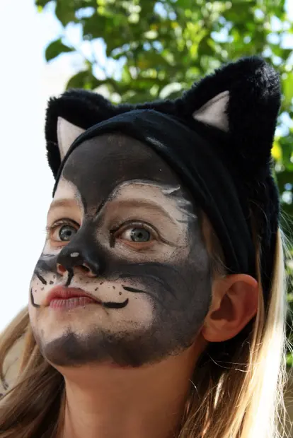 Black cat face paint
