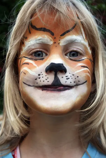 Tabby cat face paint