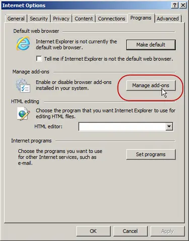 Screenshot of IE taken by Vikki Olds