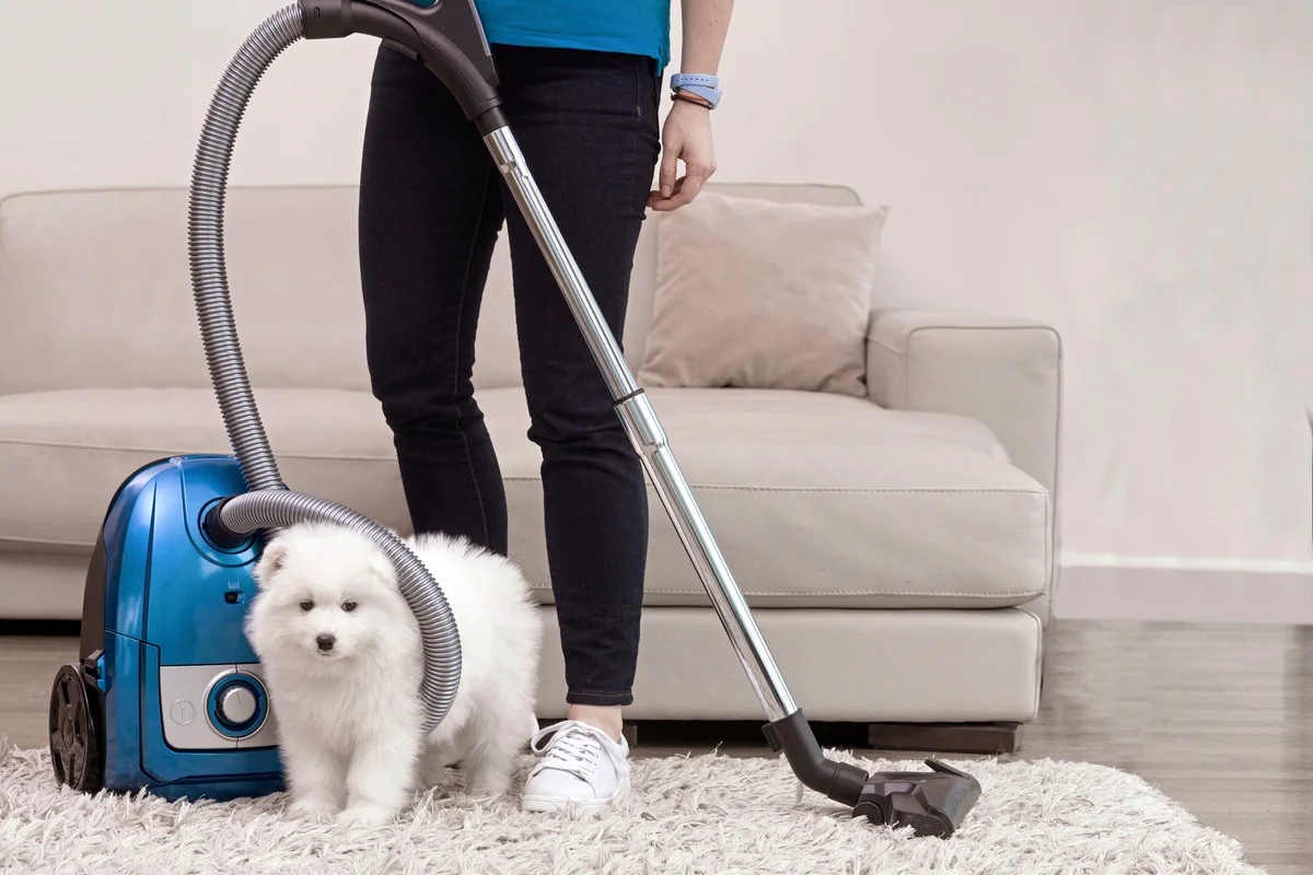 Woman holding vacuum standing with white dog