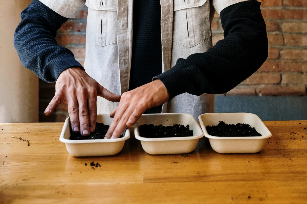 man arranging microgreen plants in tray while working at workshop