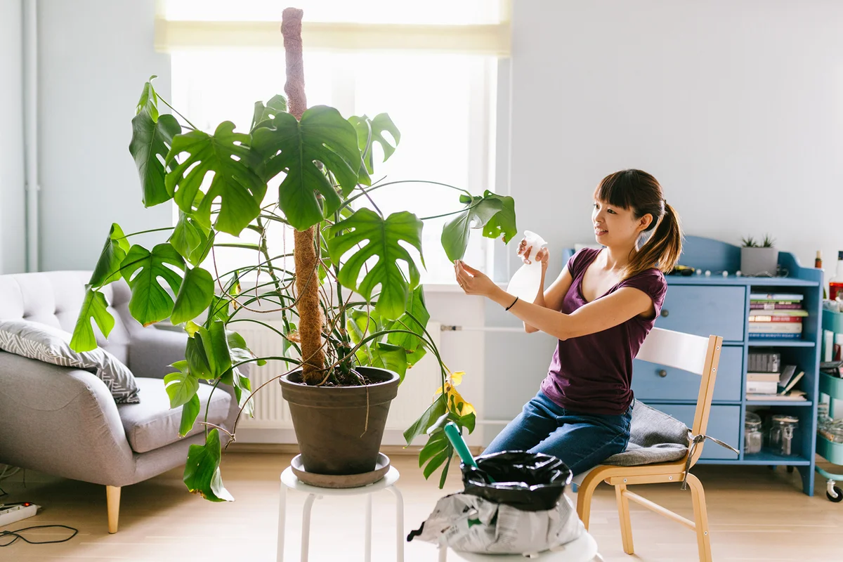 Smiling asian woman spraying water on the plant