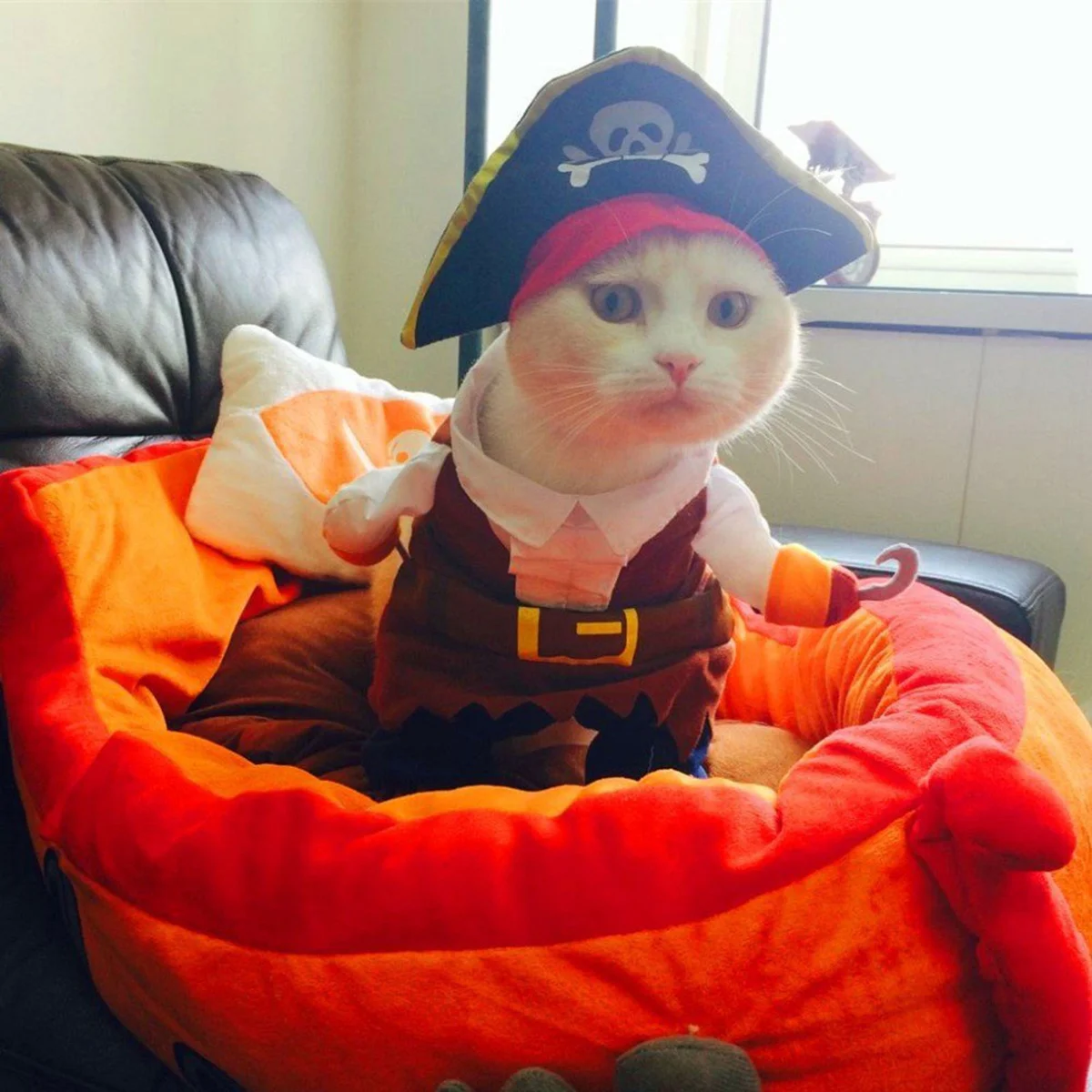 Cat Pirate Costume https://www.amazon.com/Idepet-Clothes-Caribbean-Dressing-Clothing/dp/B01E3U1236/ref=as_li_ss_tl?ie=UTF8&linkCode=ll1&tag=lov0f6-20&linkId=616d5f9db543f246aae8cac174fd732a