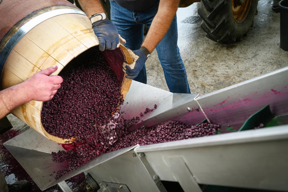 Wine mixing during fermentation process in barrel