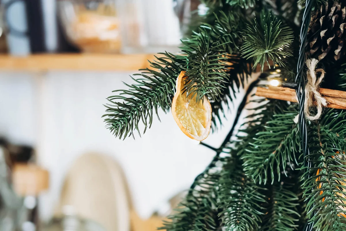 Fir tree, cone, garland, orange slices, cinnamon sticks
