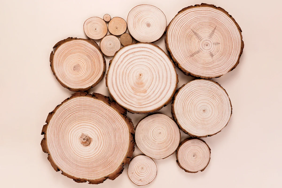 Wood Slices With Names