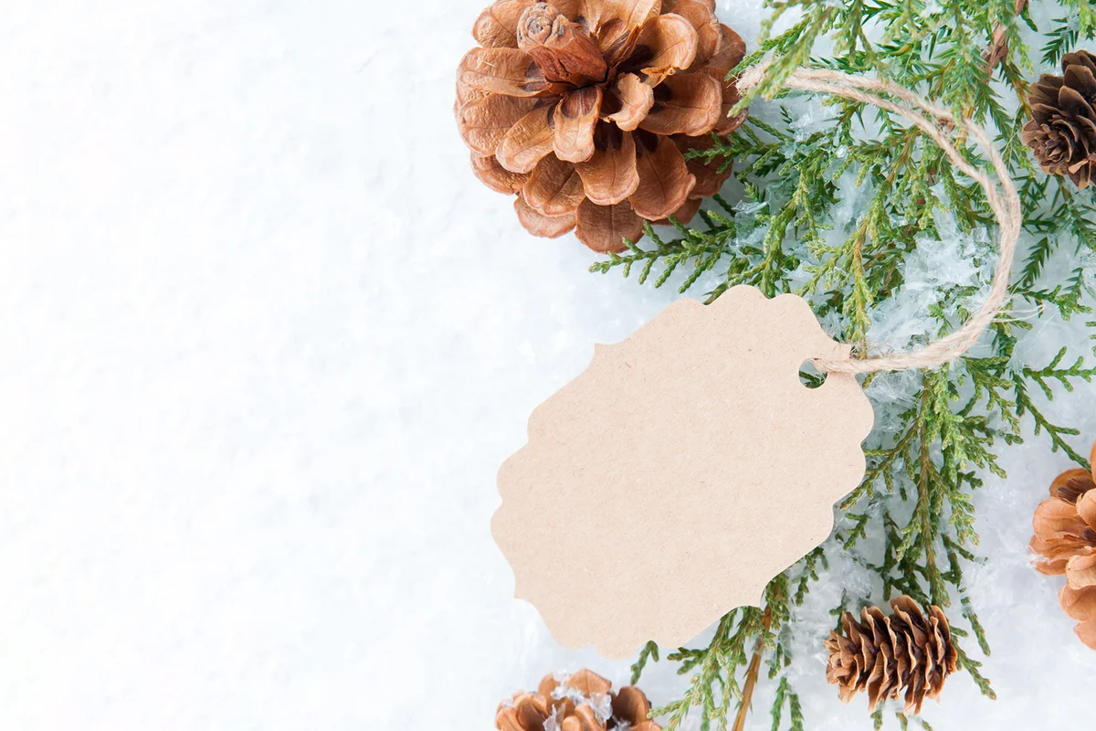 Pine Cones With Tags