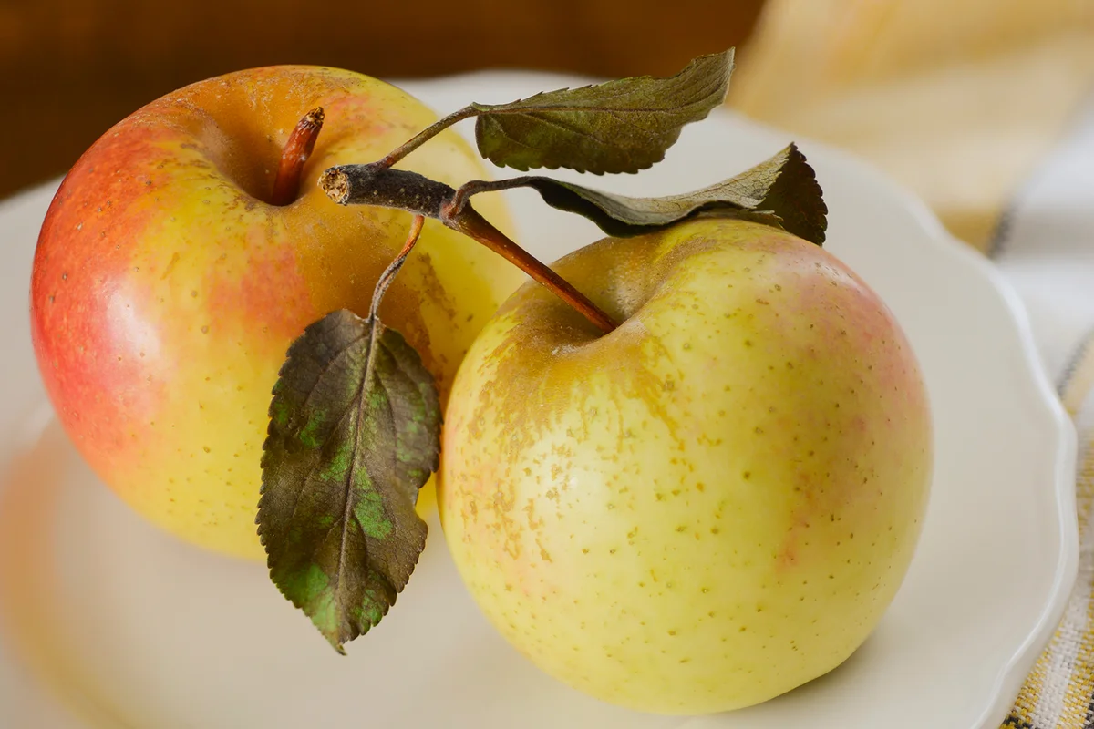 Apples With Painted Leaves