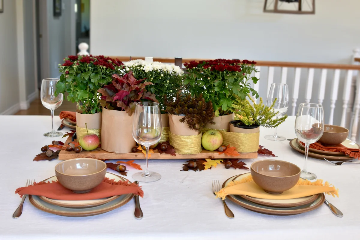 Sustainable Thanksgiving Theme