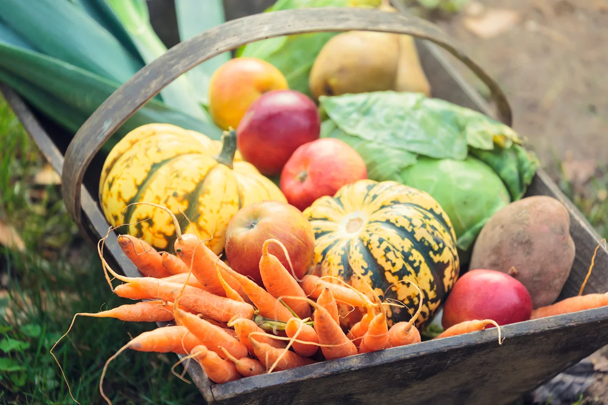 Farm-to-Fork Thanksgiving