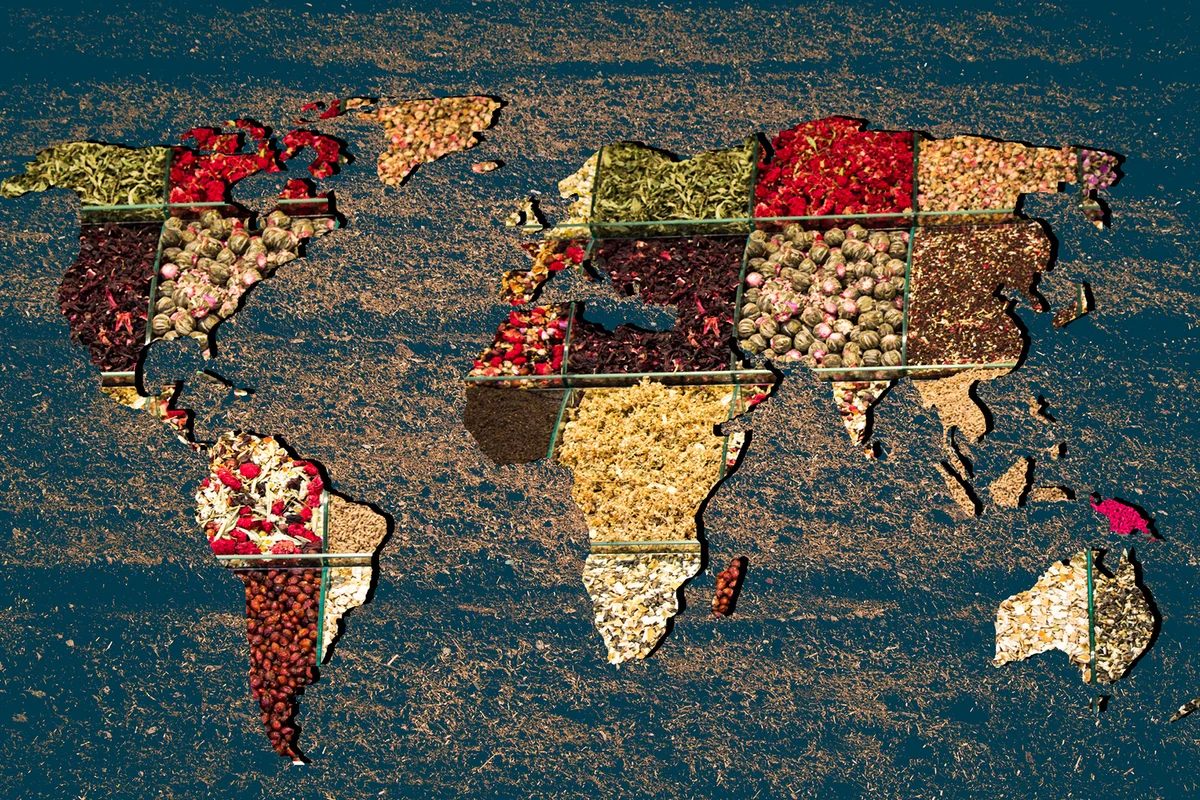 Around the World Potluck