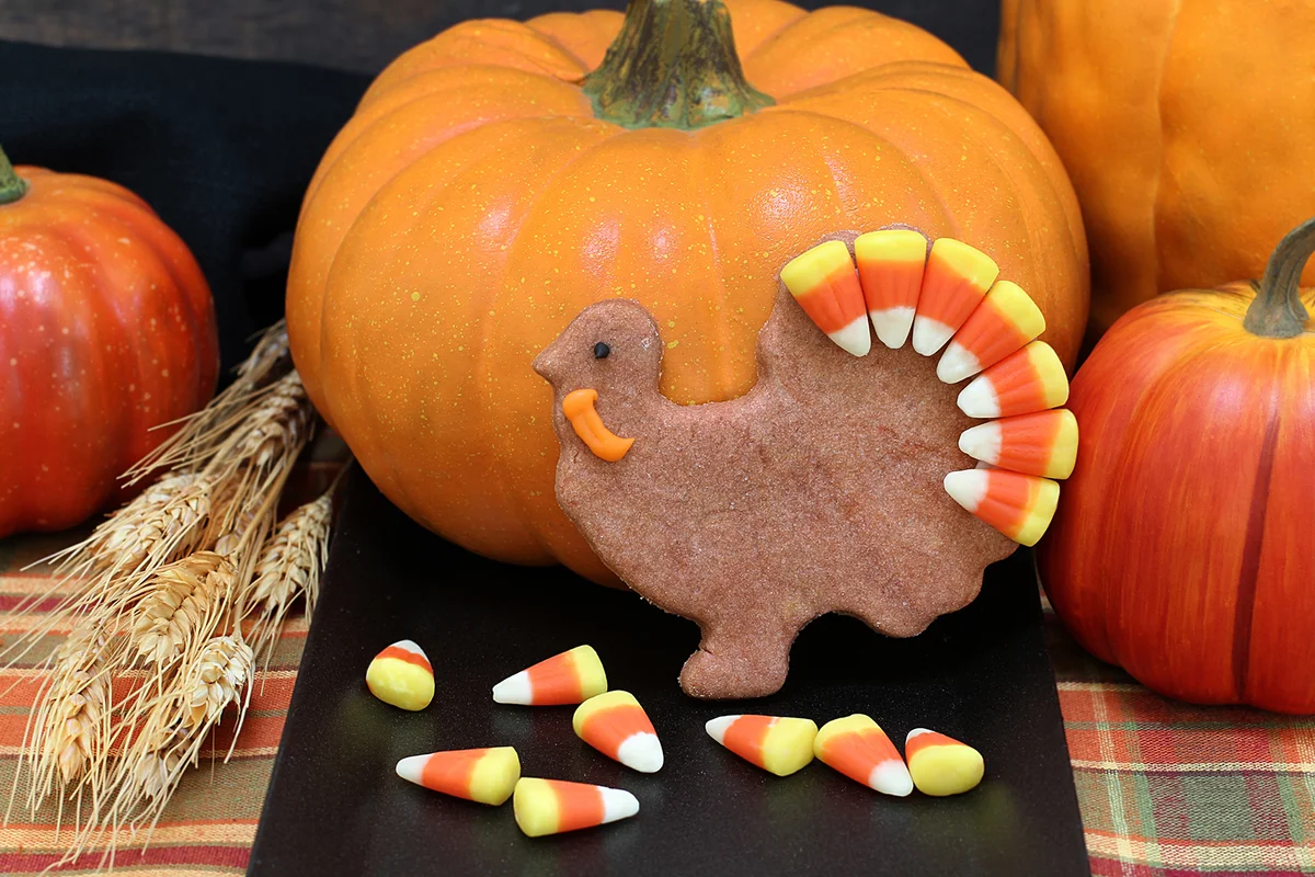 Kid-Friendly Feast