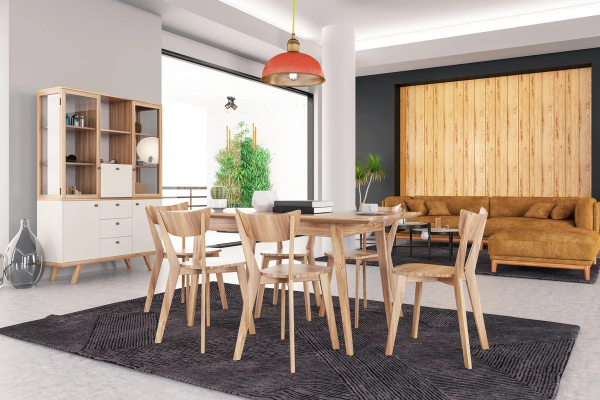 Modern Living Room with Dining Room
