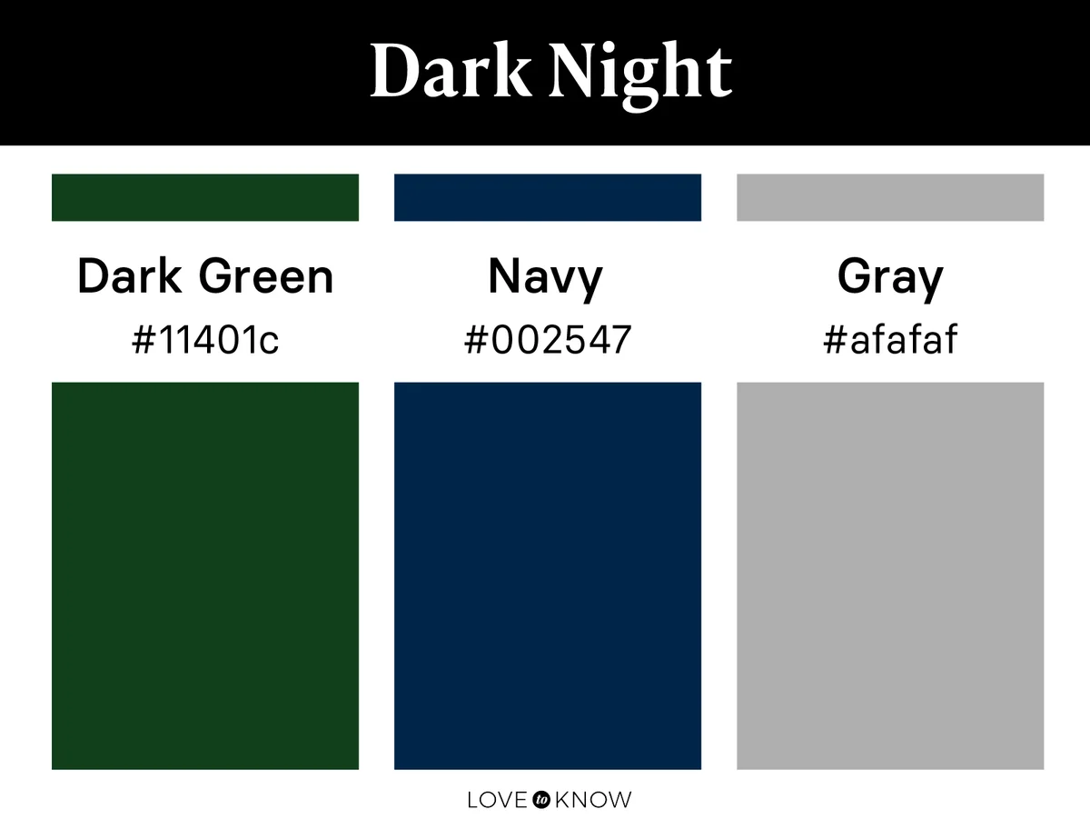 Dark Night Color Palette