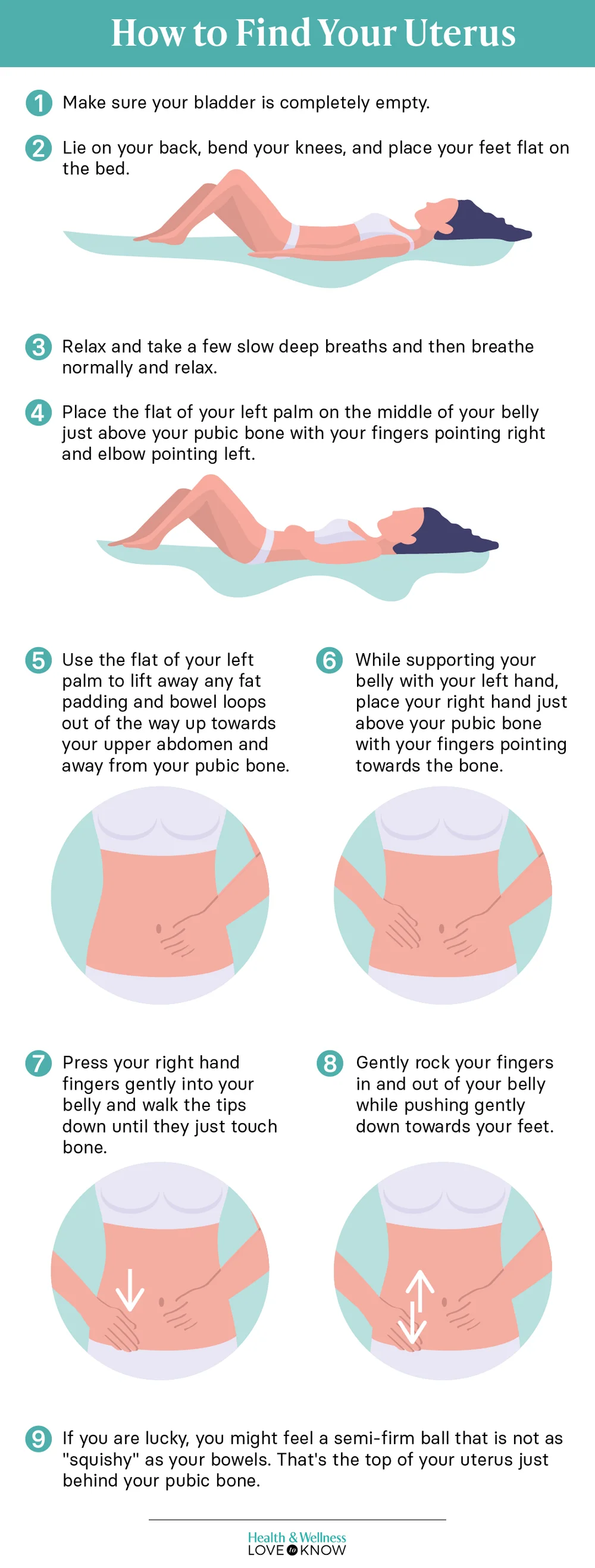 How to Find Your Uterus Infographic