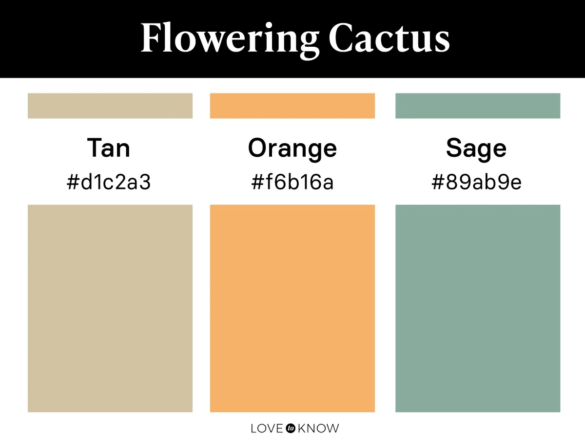 Flowering cactus color palette