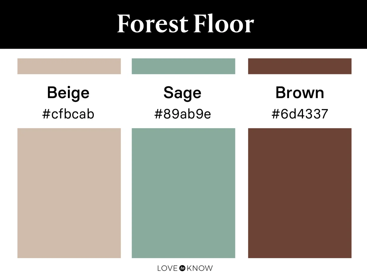 Forest floor color palette
