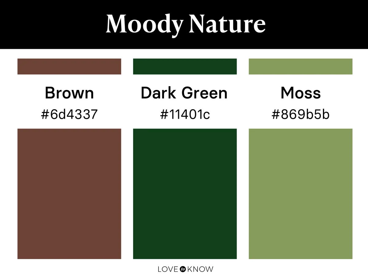Moody nature color palette