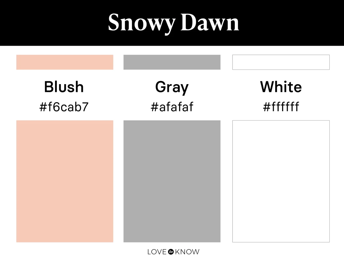 Snowy dawn color palette