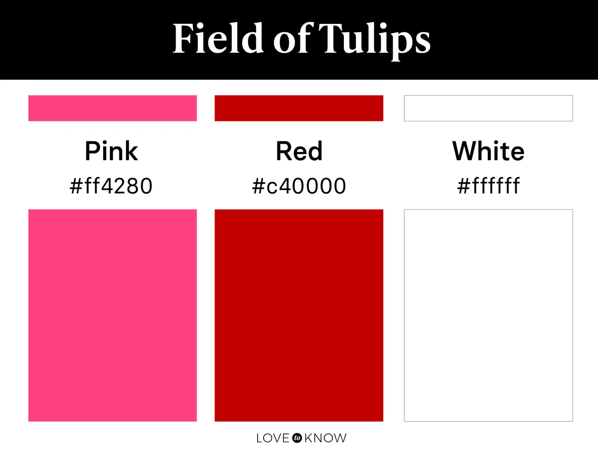 Field of tulips color palette