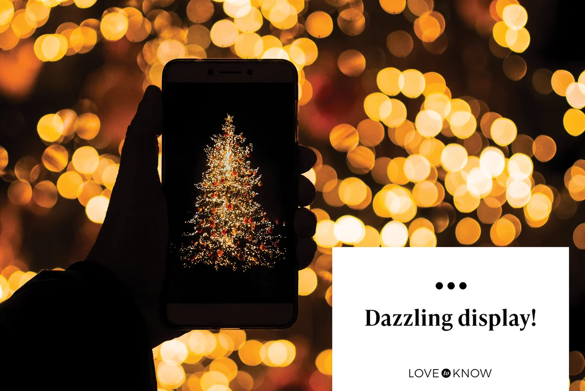 Person Photographing Illuminated Christmas Tree Using Smart Phone