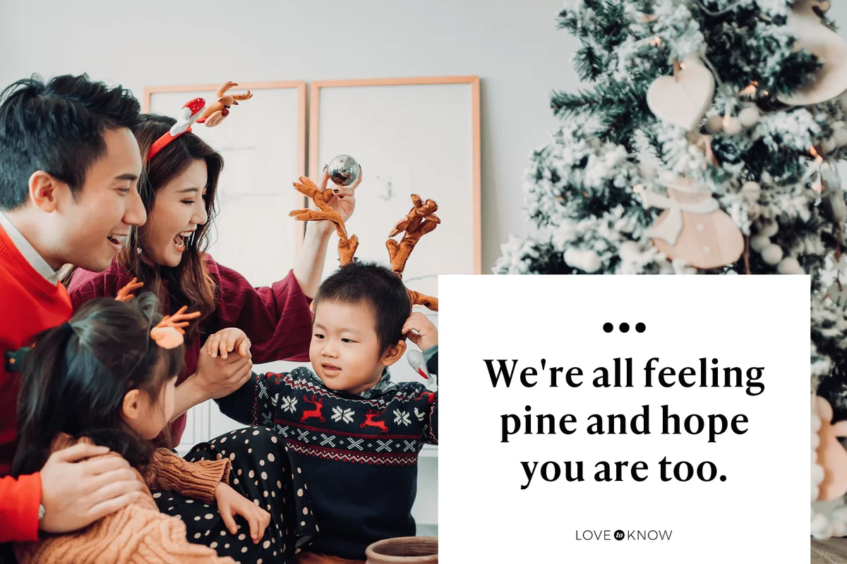 Funny Captions for Your Christmas Tree Photos