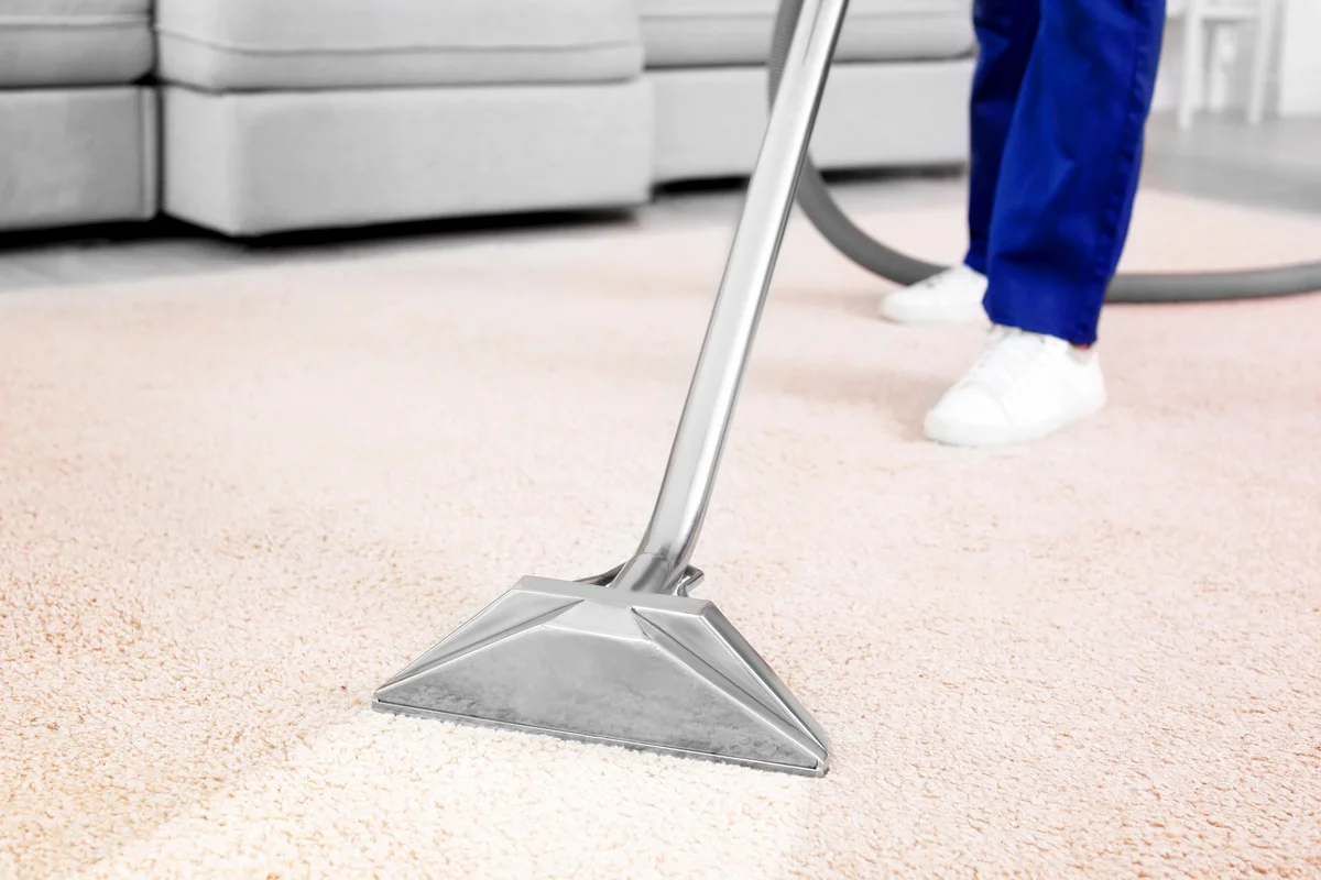 Steam cleaning the carpet
