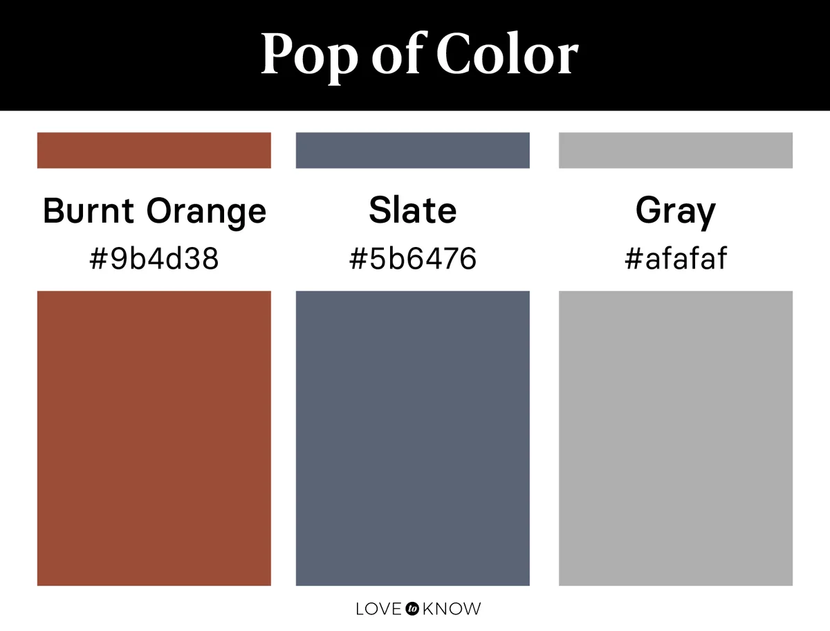 Pop of Muted Color Color Palette