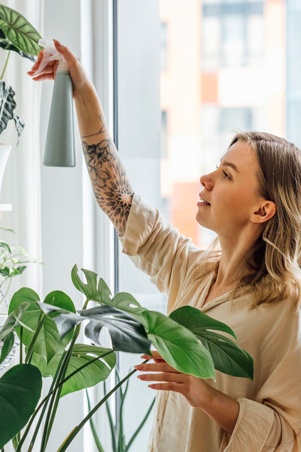 Does Talking to Plants Help Them Grow? Why It's Worth Trying