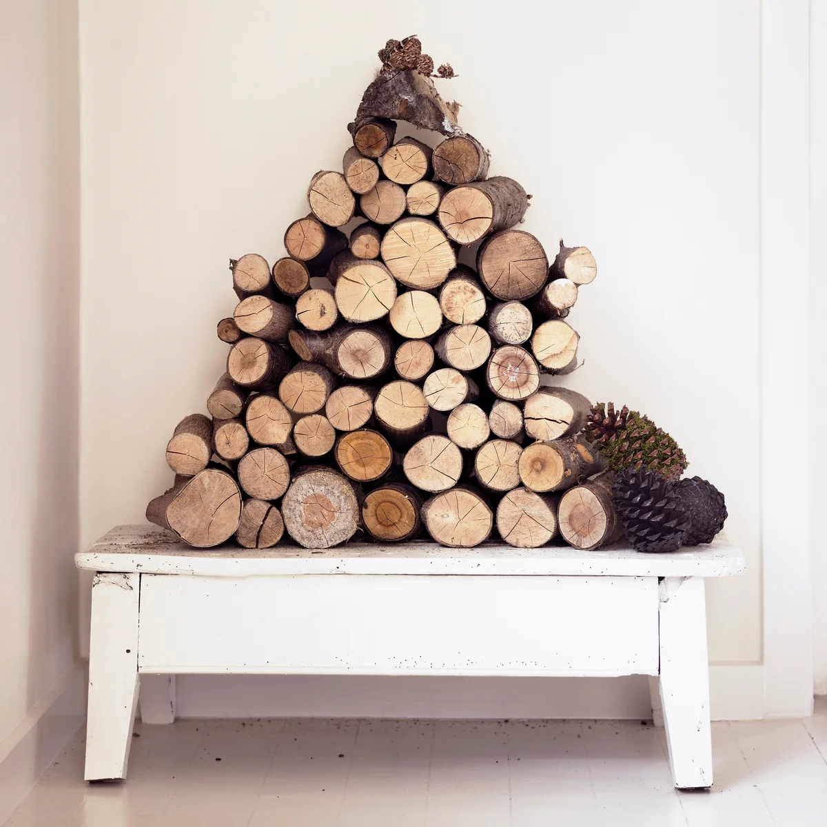 Firewood stacked on old bench