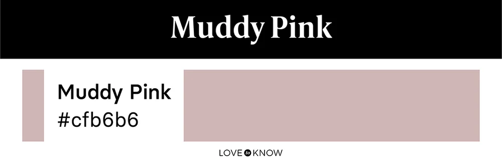 Muddy Pink Color Palette