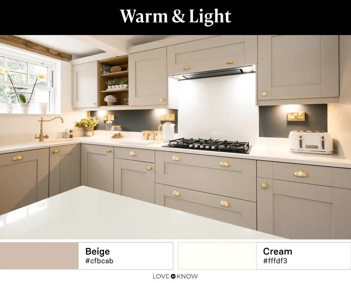 Warm & Light Color Palette