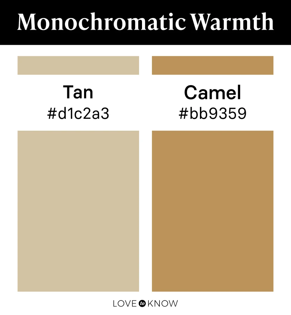 Monochromatic Warmth Color Palette