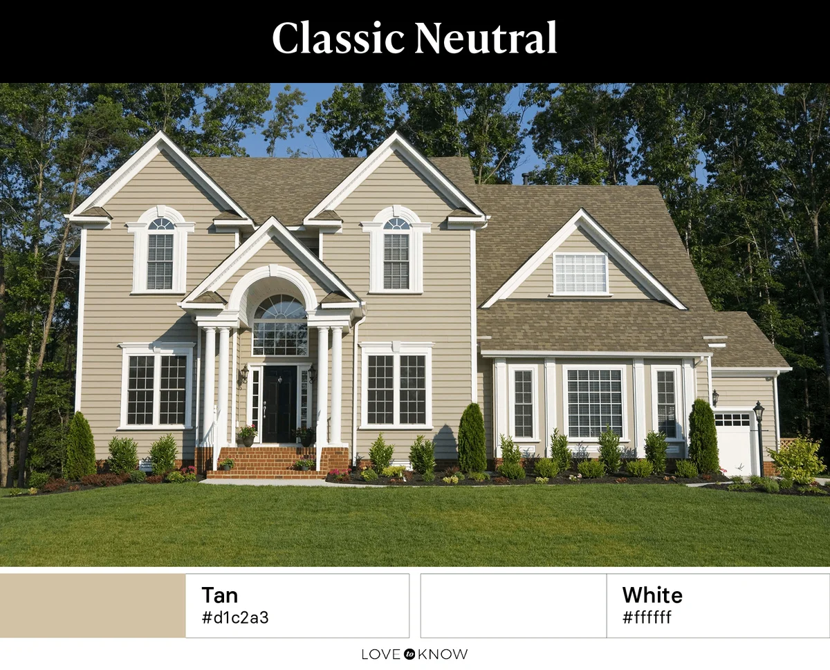 Classic Neutral Color Palette