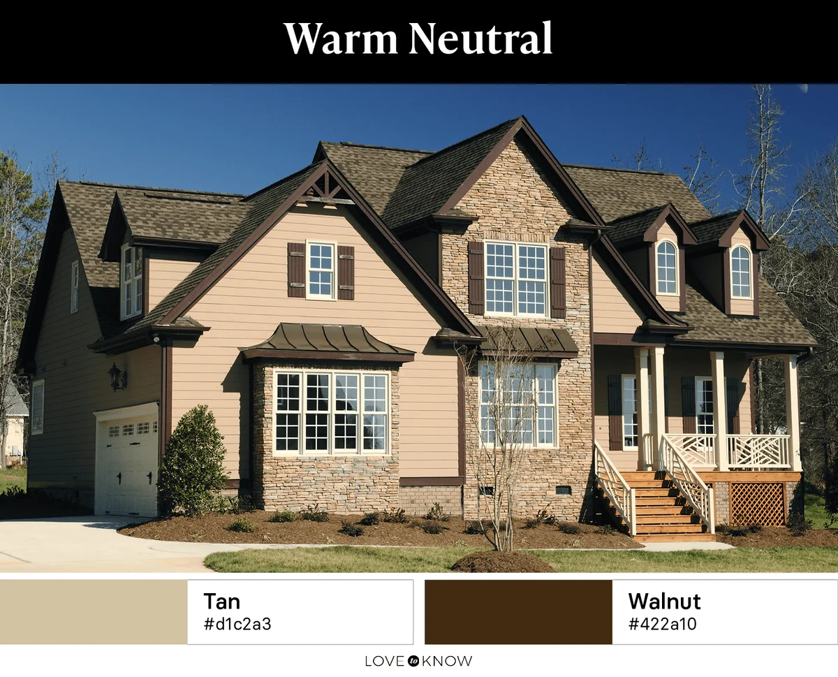 Warm Neutral Color Palette